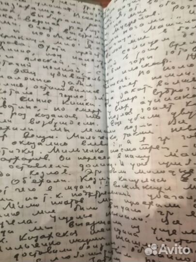 Всеволод Иванов Дневники