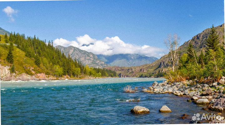 Алтай летом тур путевка экскурсия 6-8 дней