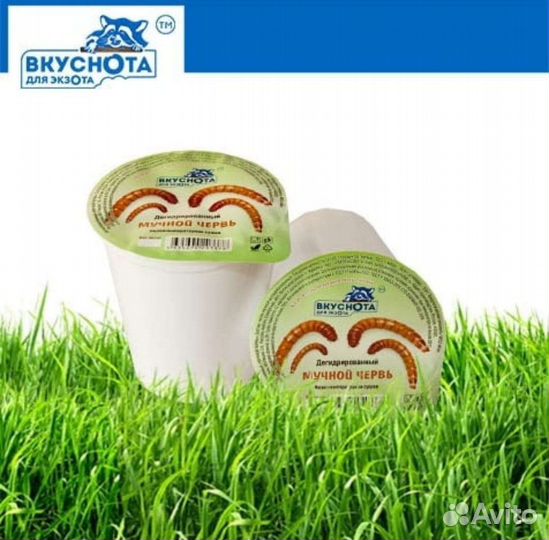 Мучной червь сушеный