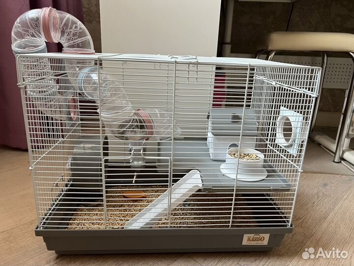 Джунгарский хомяк с клеткой