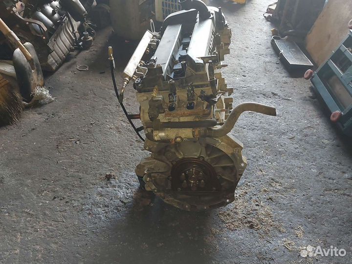 Двигатель qqdb форд фокус 2 125л.с. 1.8i 2009г.в