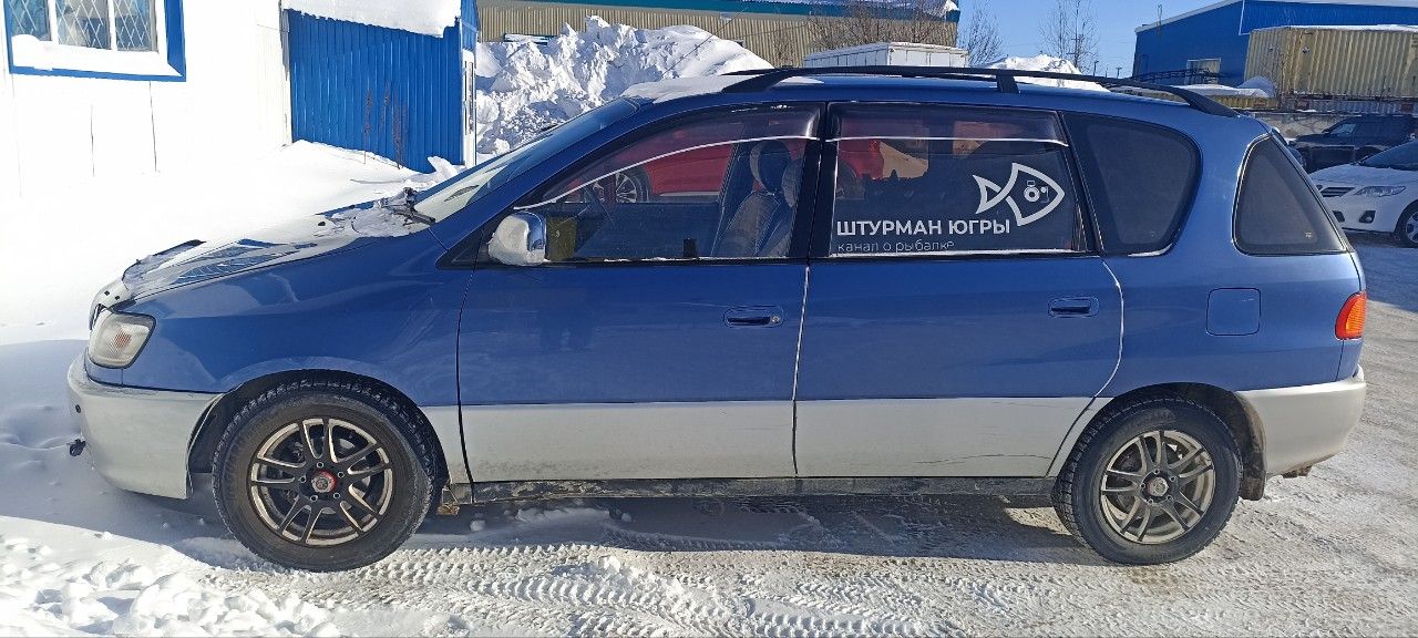 Toyota Ipsum: фото владельца