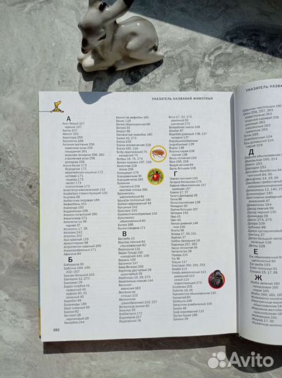 Книга Царство животных 2004