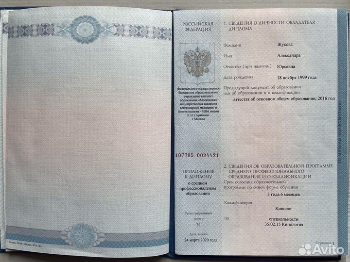 Услуги кинолога