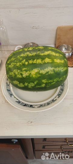 Эмалированное большое блюдо СССР