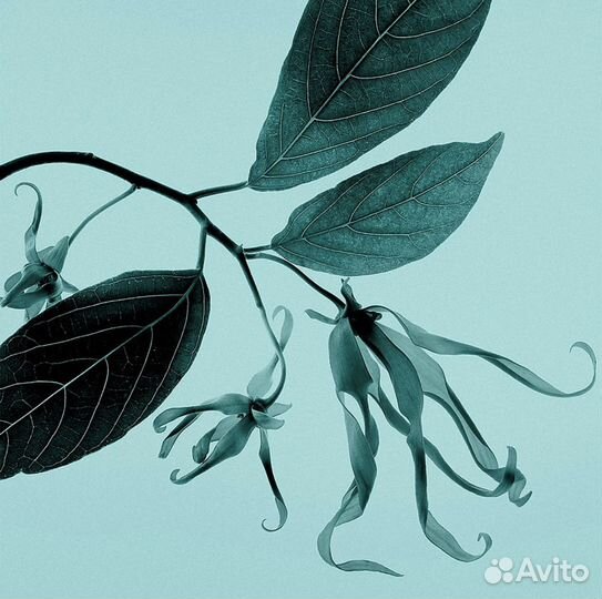 Женский духи Tiffani 75ml оригинал