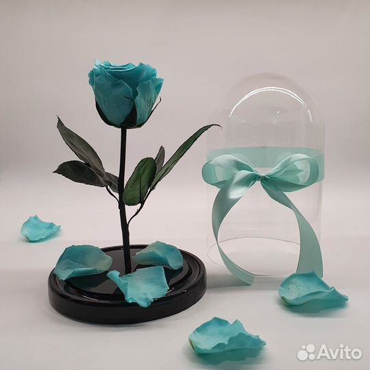 Розы в колбе огромный выбор