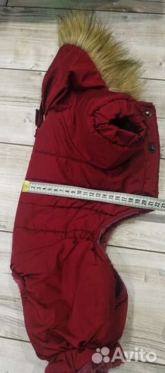 Комбинезон для маленькой собачки(мальчик)