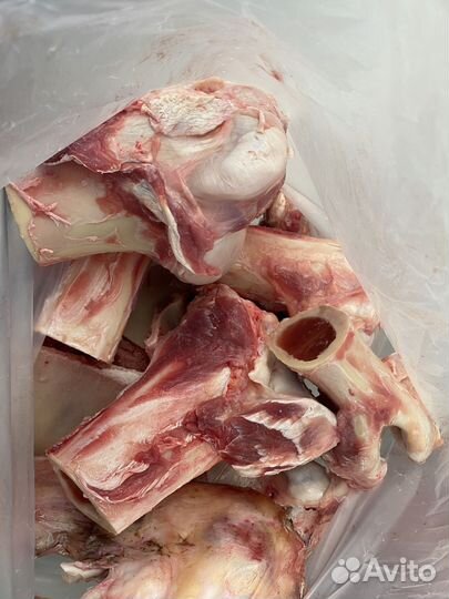 Кость пищевая, говяжья, свиная