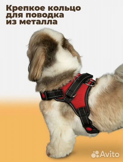 Шлейка для собаки новая
