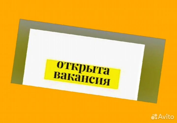 Оператор линии Без опыта Еженедельные выплаты