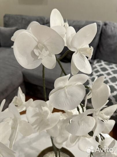 Орхидея в кашпо искусственная белая