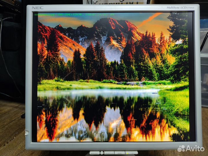 Монитор NEC 17 дюймов