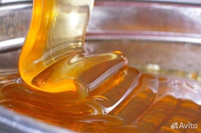 Мед натуральный Алтайский оптом от 16кг