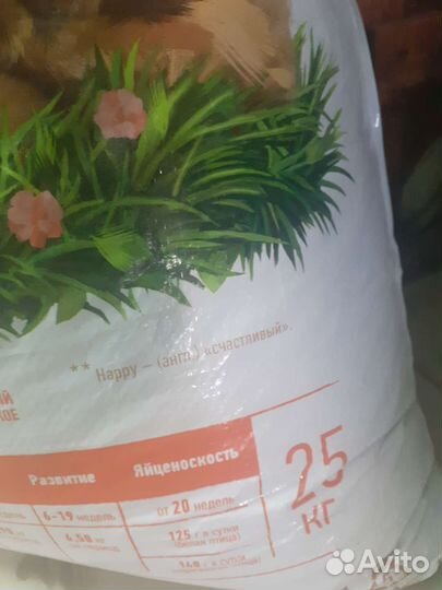 Корм для кур несушек