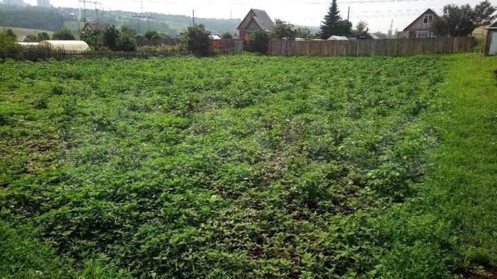 Участок 9 сот. (СНТ, ДНП)