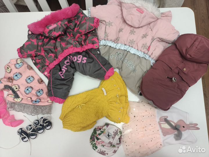 Одежда и обувь для собак