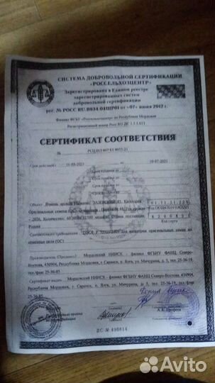 Зерно пшеница ячмень