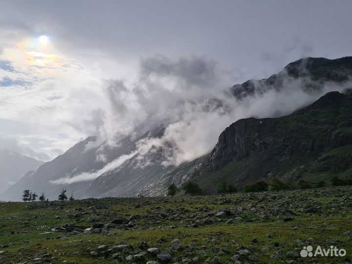 Туры по Алтаю авторские, гид алтай, экскурсии Алта