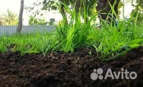 Земля камаз чернозем