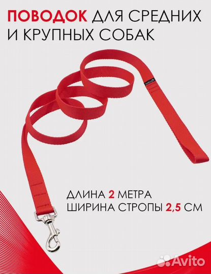 Ошейник для собак