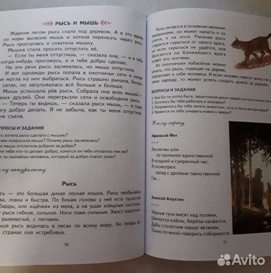 Первая после букваря книга для чтения