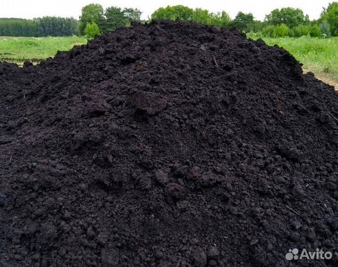 Чернозем