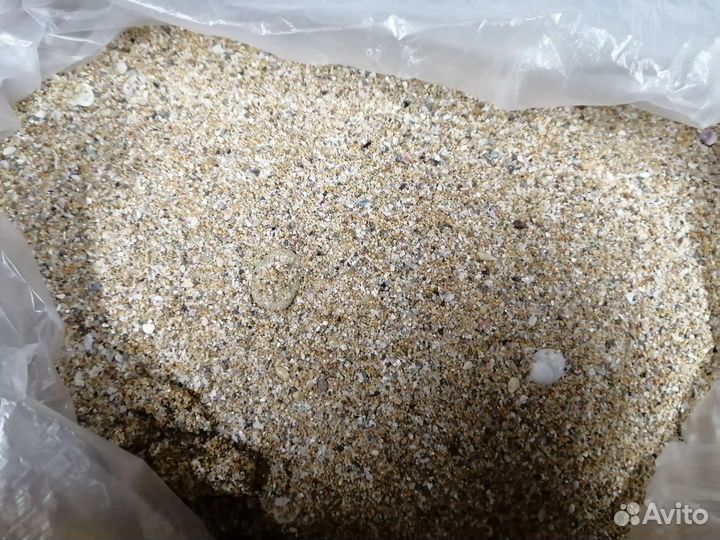 Грунт, песок, ракушки