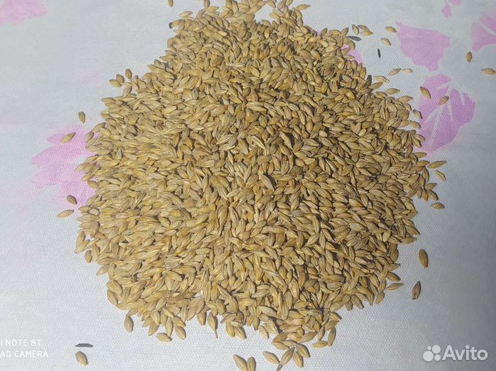 Продам ячмень, дробленый, хлопья ячменные