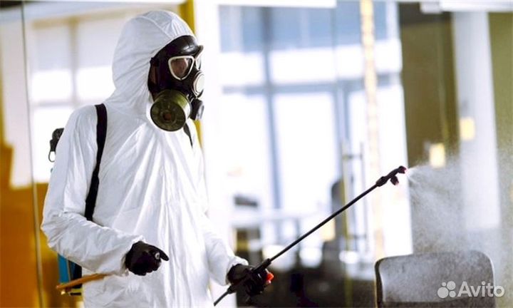 Дезинсекция тараканы