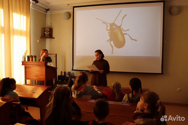 Репетитор по русскому языку и литературе