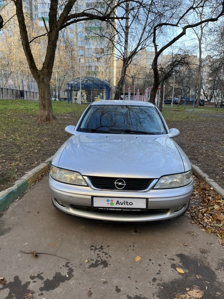 Opel Vectra: фото владельца