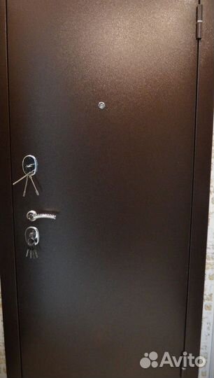 Входная дверь в квартиру металлическая