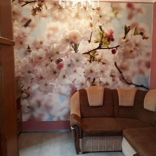 2-к. квартира, 50 м², 2/2 эт.