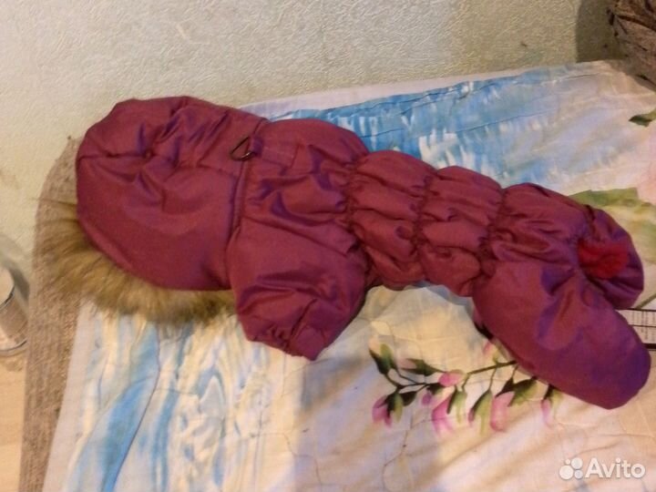 Одежда для маленьких собак