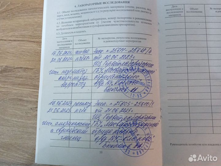 Пчелопакеты карника,бакфаст