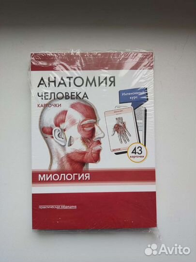 Карточки по анатомии Сапин