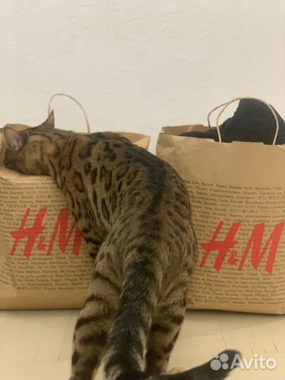 Вещи пакетом размеры 40-42