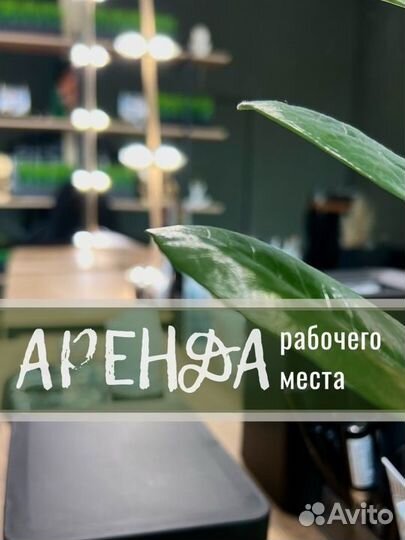 Сдается рабочее место