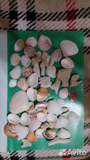 Ракушки морские,для аквариума,творчества