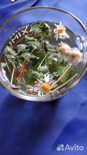 Ромашка, крапива, чистотел, полынь, малина