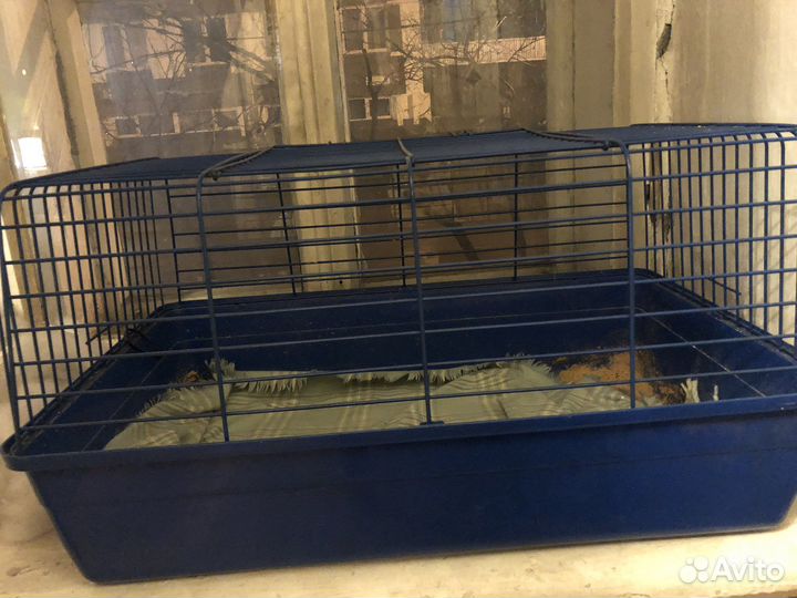 Большая клетка для грызунов