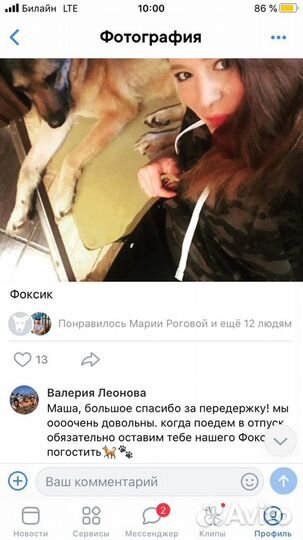 Передержка собак, зооняня, догситтер, зоогостиница