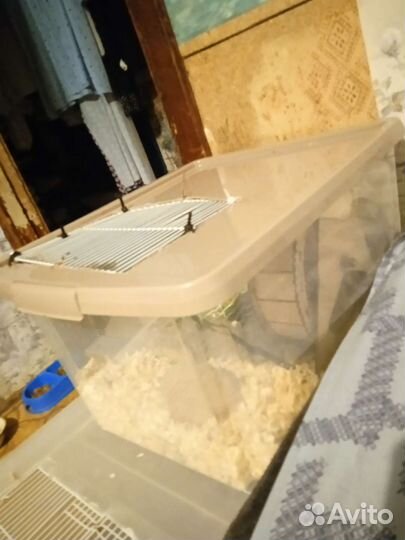 Клетка для хомяка контейнер дюна