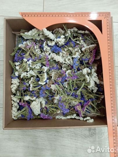 Сухоцветы для творчества