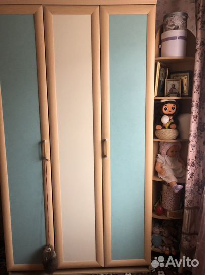 Компьютерный стол и шкаф