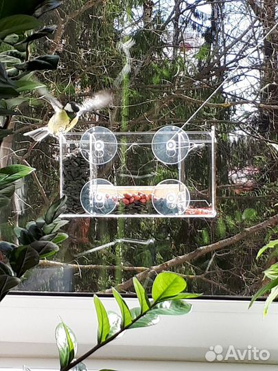 Кормушка для птиц на присосках 