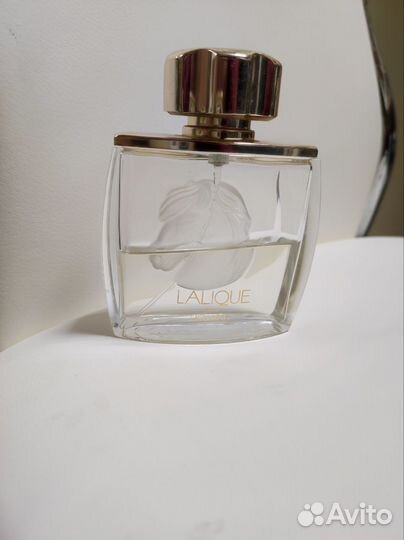 Мужская туалетная вода dolce gabbana