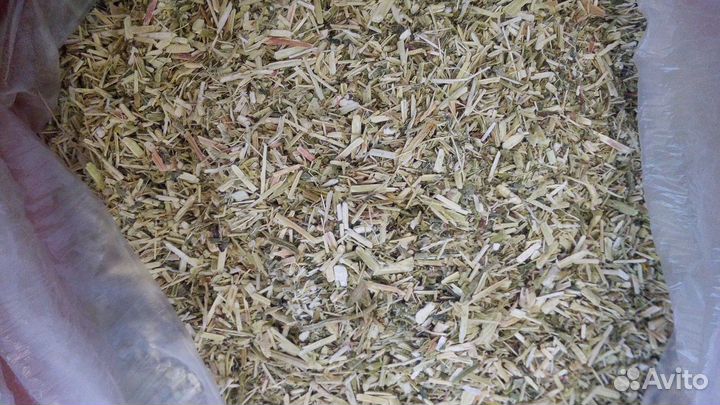 Чай из амаранта зеленый