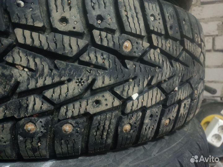 Nokian Tyres Nordman 7 175/65 R14